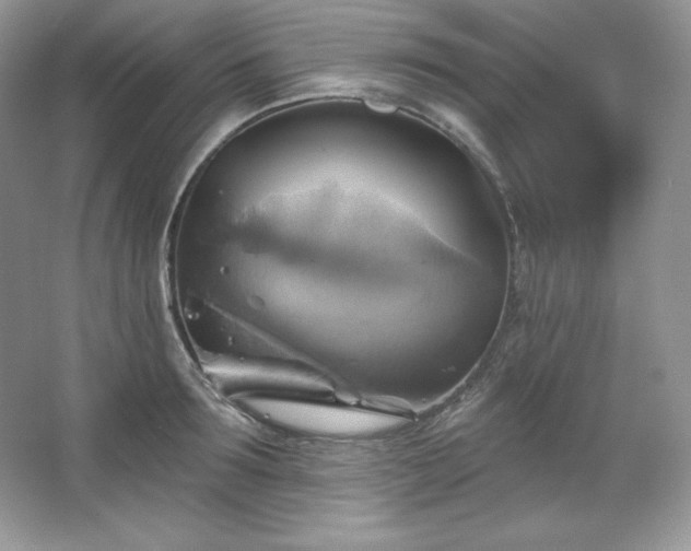 X0000067840899200604171150