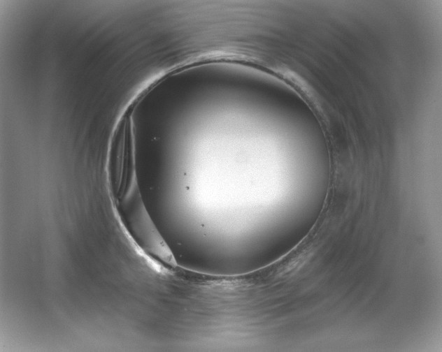 X0000067840902200604171150