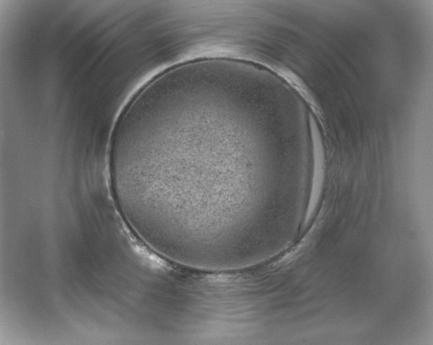 X0000067840904200604171149
