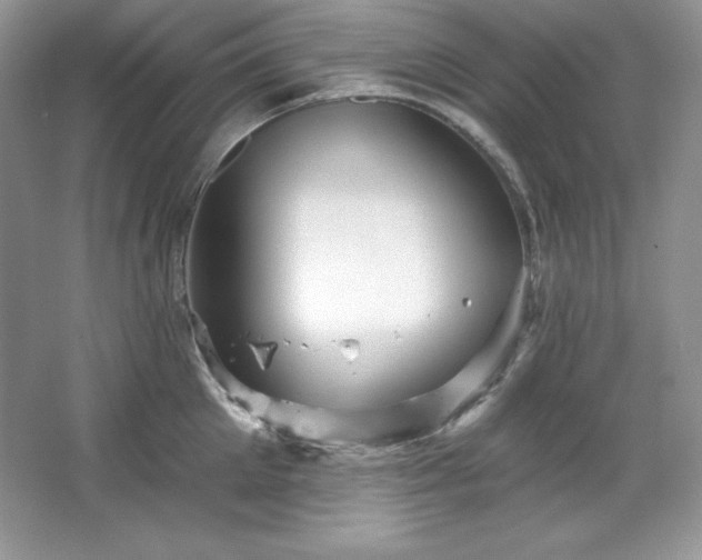 X0000067840905200604171149