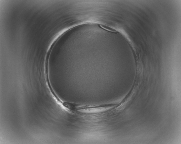 X0000067840910200604171149