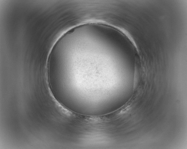 X0000067840911200604171149