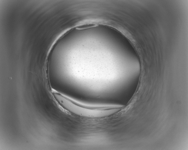 X0000067840912200604171149