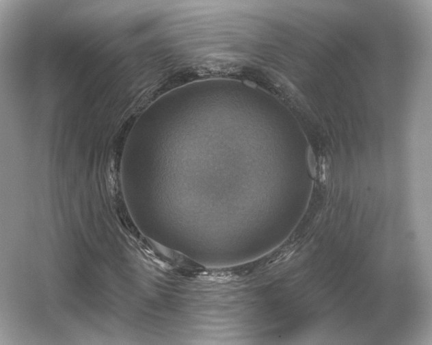X0000067840915200604171149