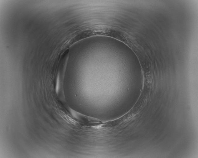 X0000067840916200604171149