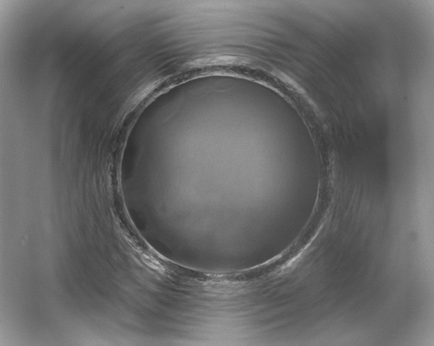 X0000067840921200604171149
