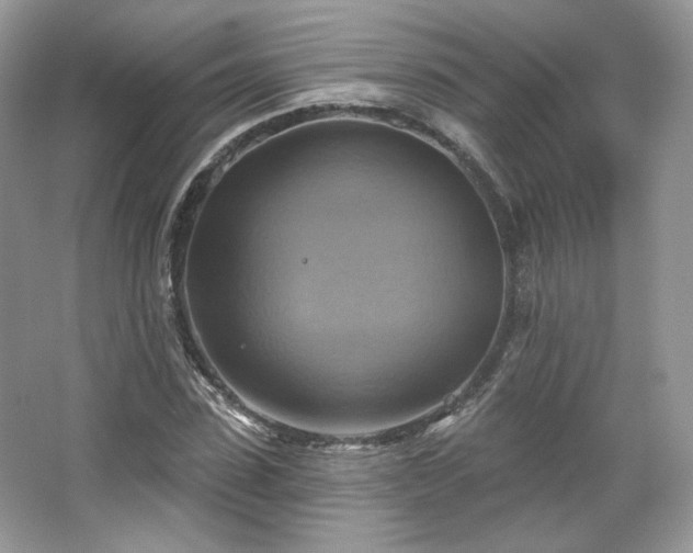 X0000067840923200604171149