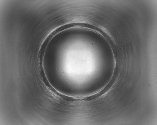 X0000067840926200604171149