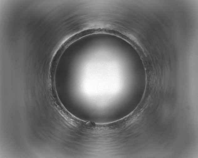 X0000067840927200604171149