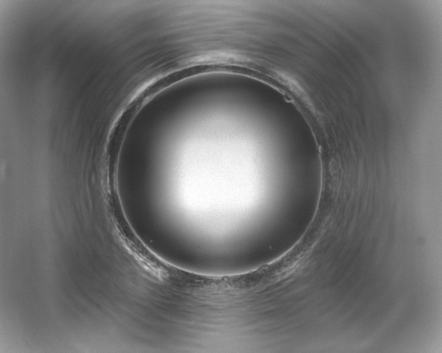 X0000067840931200604171149