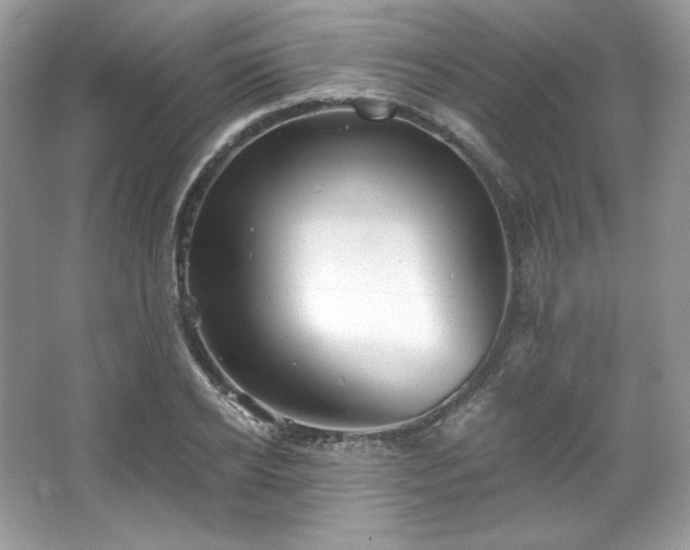X0000067840934200604171149