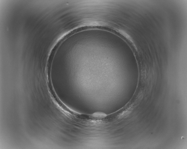 X0000067840935200604171149