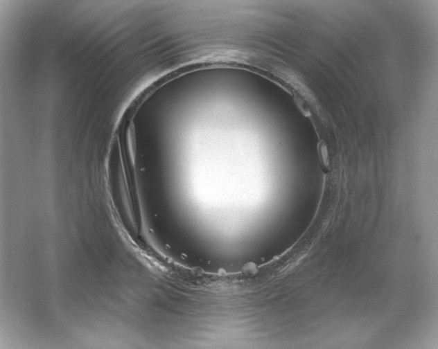 X0000067840936200604171149