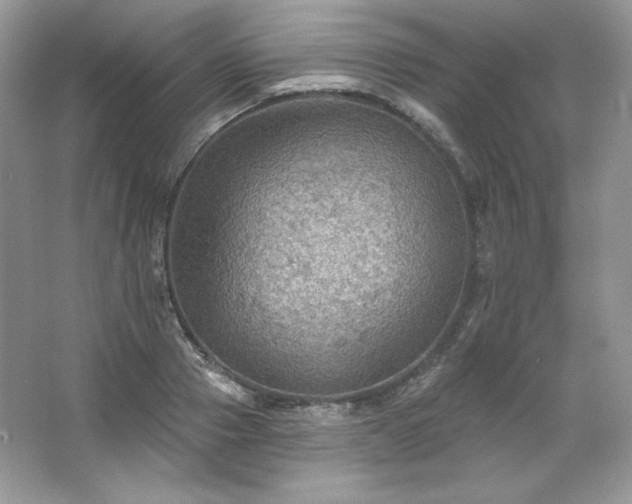 X0000067840937200604171149