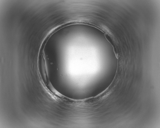 X0000067840940200604171149