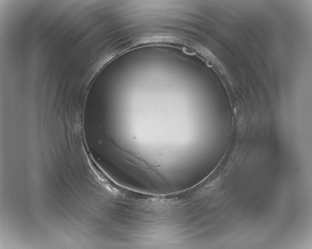 X0000067840945200604171149