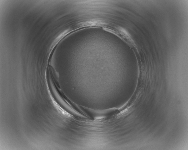 X0000067840946200604171149