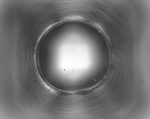 X0000067840947200604171149