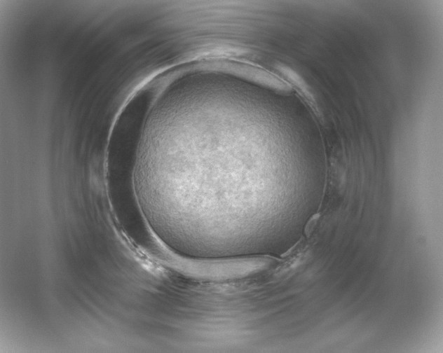 X0000067840948200604171149