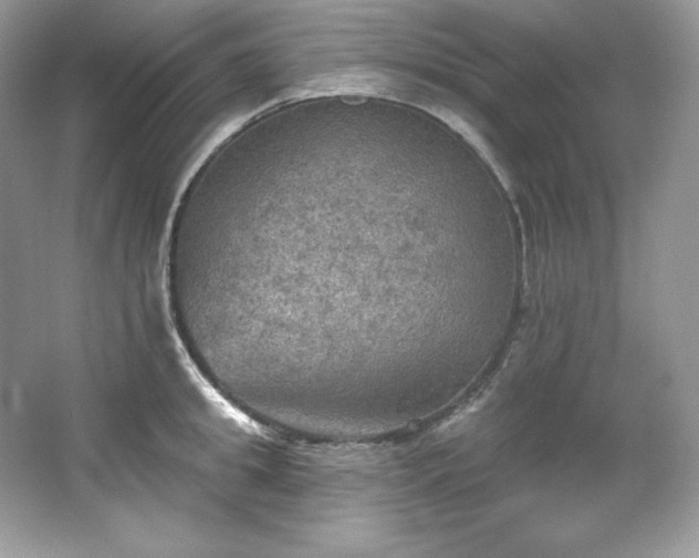 X0000067840949200604171149