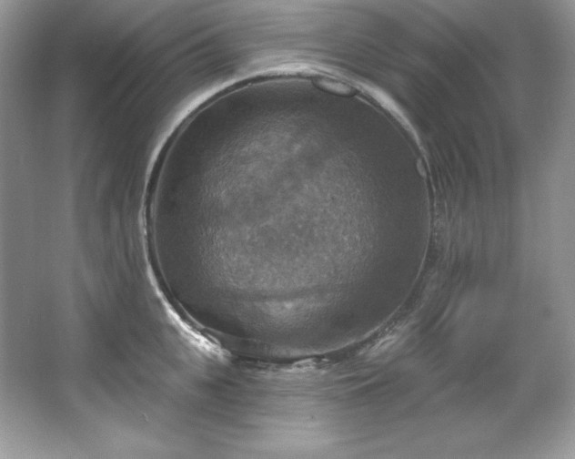 X0000067840951200604171149