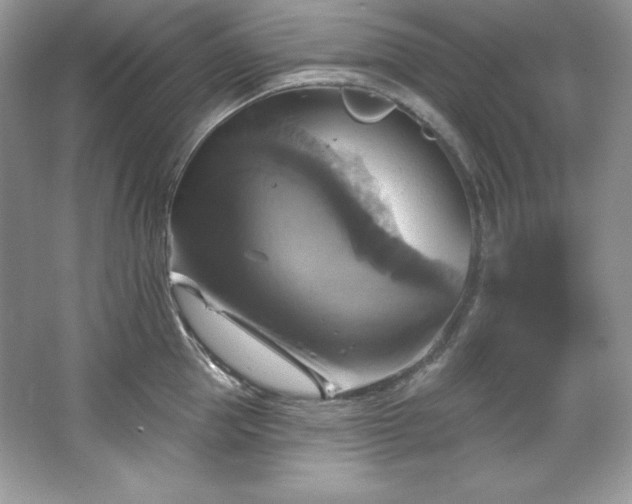 X0000067840953200604171149