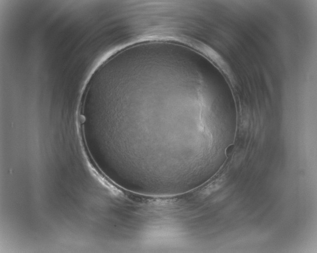 X0000067840958200604171149