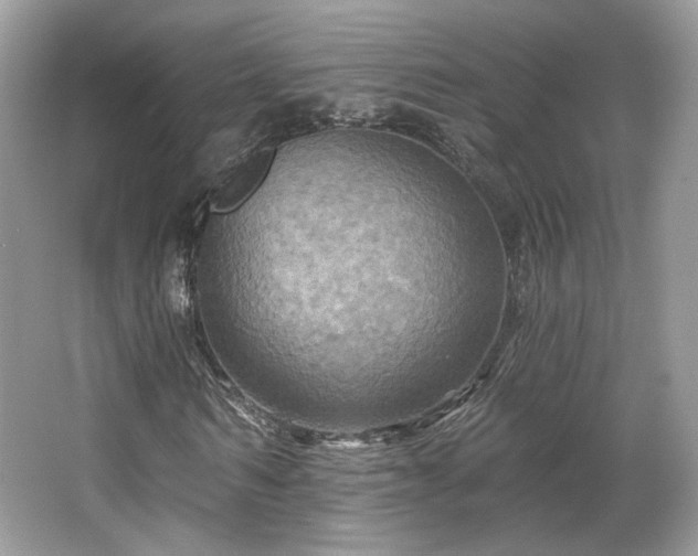 X0000067840962200604171149