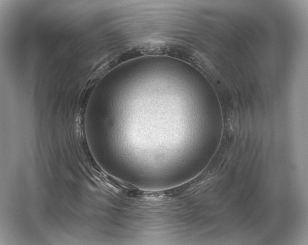 X0000067840964200604171148