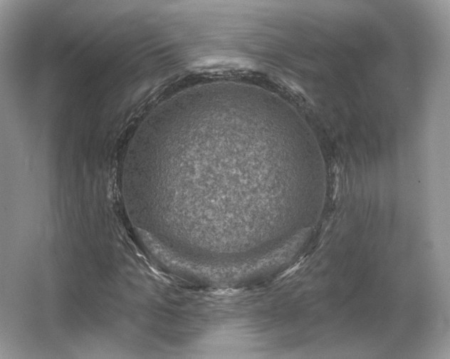 X0000067840965200604171148