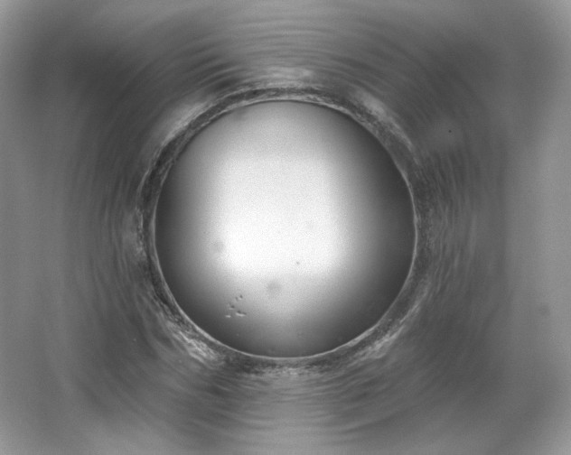 X0000067840970200604171148