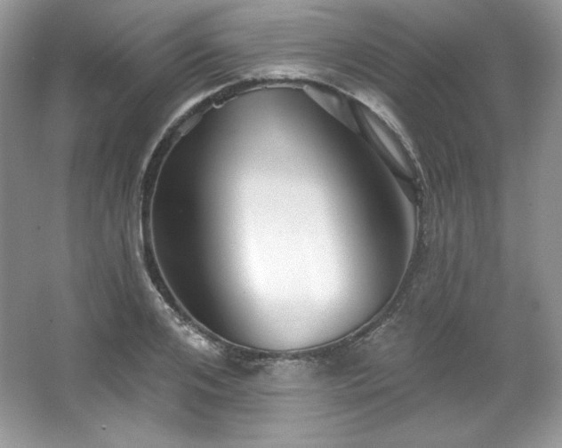X0000067840984200604171148