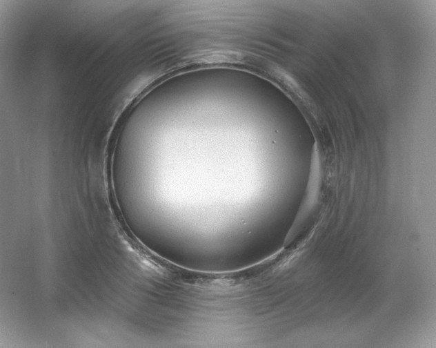 X0000067840986200604171148