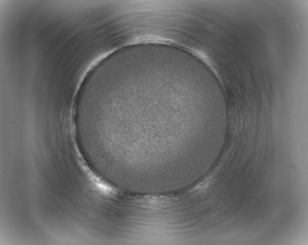 X0000067840987200604171148