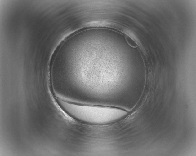 X0000067840992200604171148