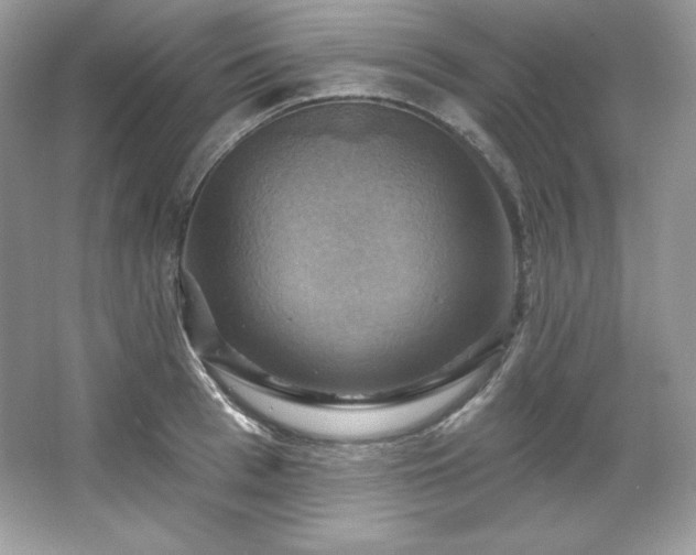 X0000067840993200604171148