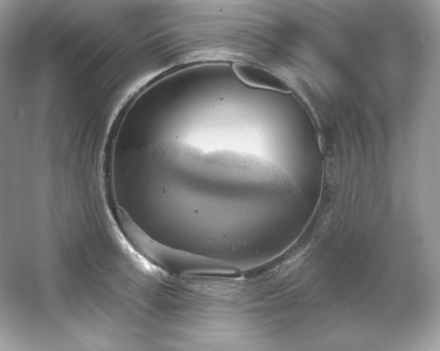 X0000067840995200604171148