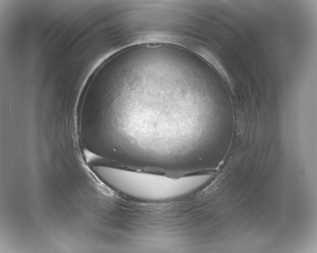 X0000067840996200604171148