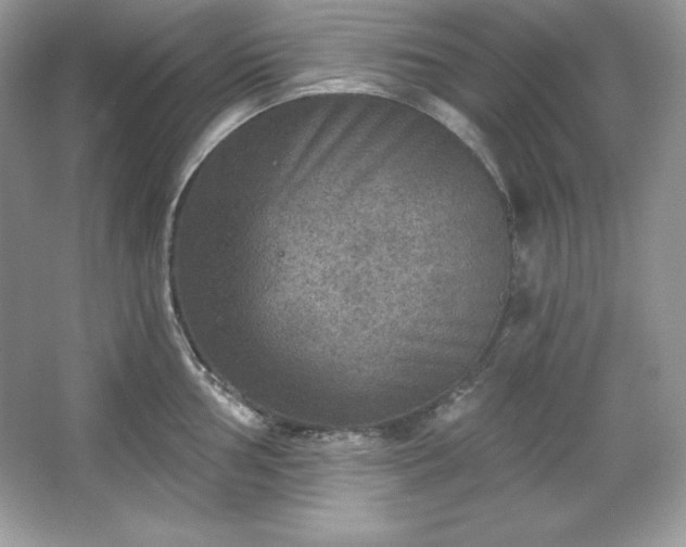 X0000067841002200604171148