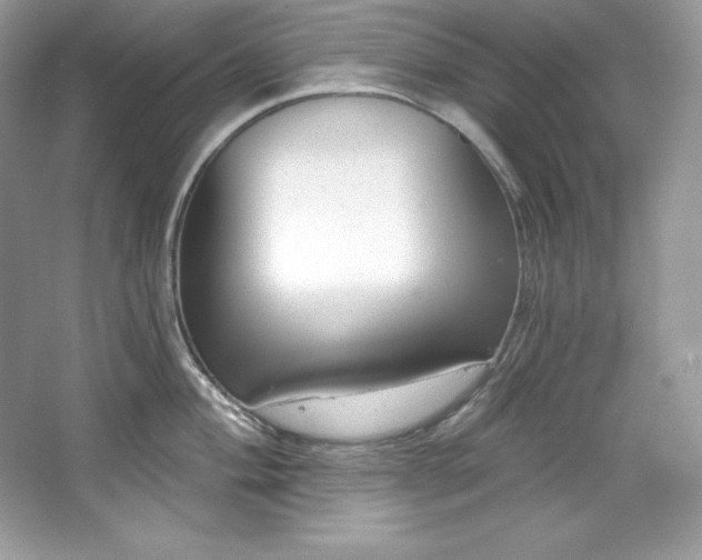 X0000067841004200604171148