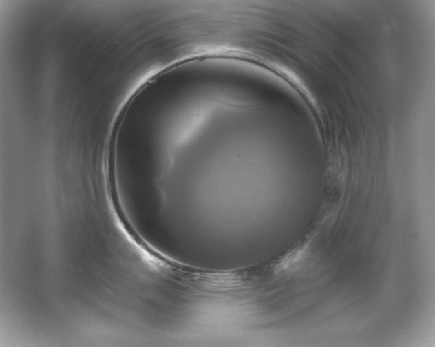 X0000067841007200604171148