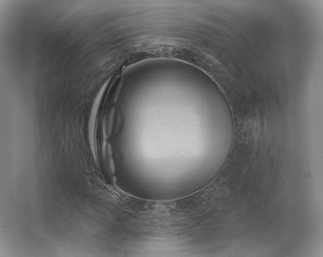 X0000067841013200604171147