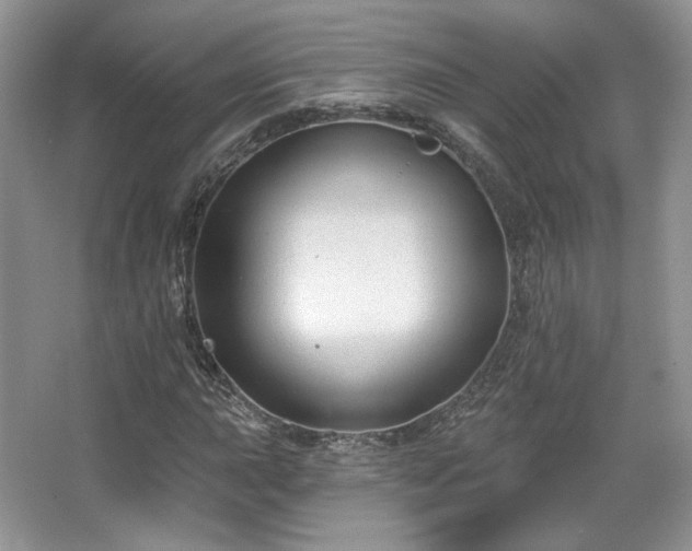 X0000067841015200604171147