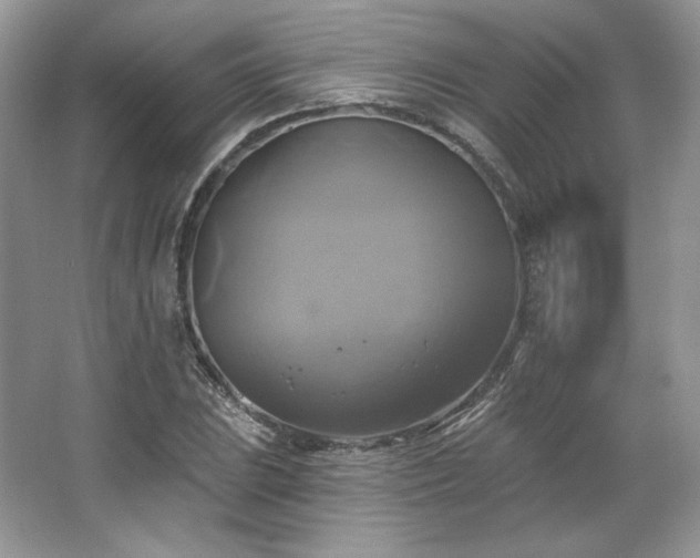 X0000067841023200604171147