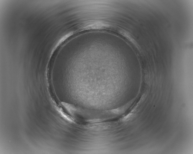 X0000067841026200604171147