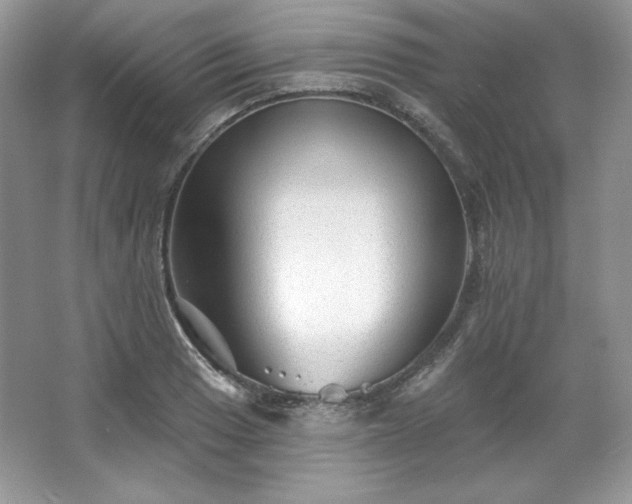 X0000067841033200604171147