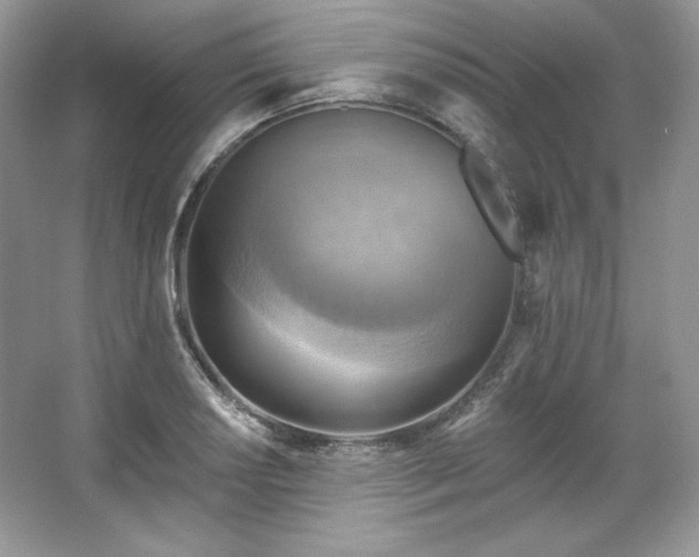 X0000067841034200604171147
