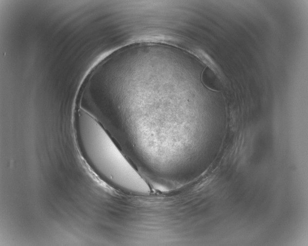 X0000067841036200604171147