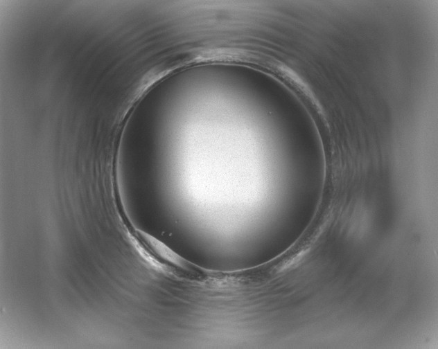 X0000067841041200604171147