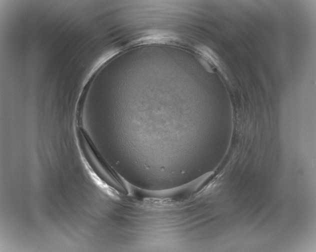 X0000067841042200604171147